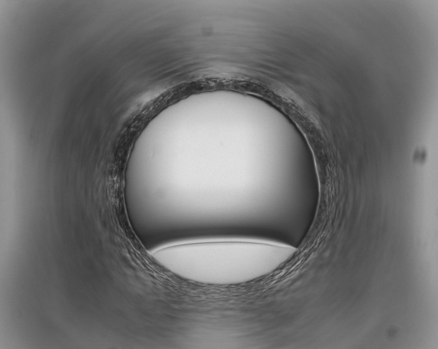 X0000097910822200803141027