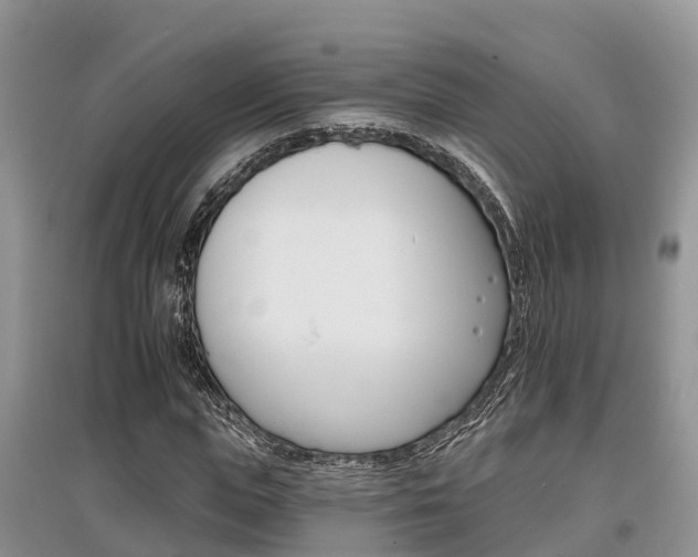 X0000097910823200803141027