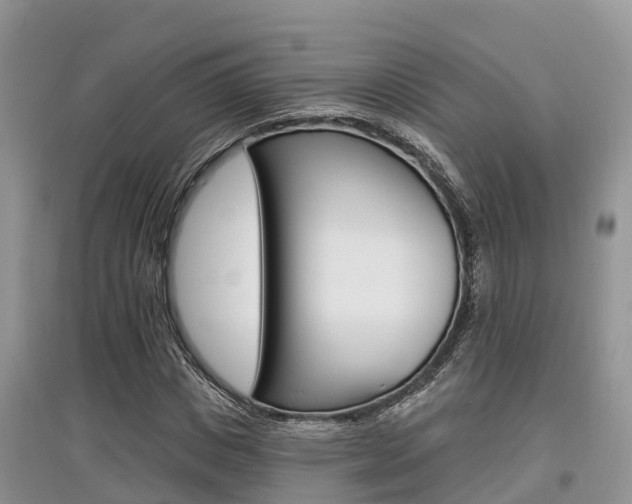 X0000097910825200803141027