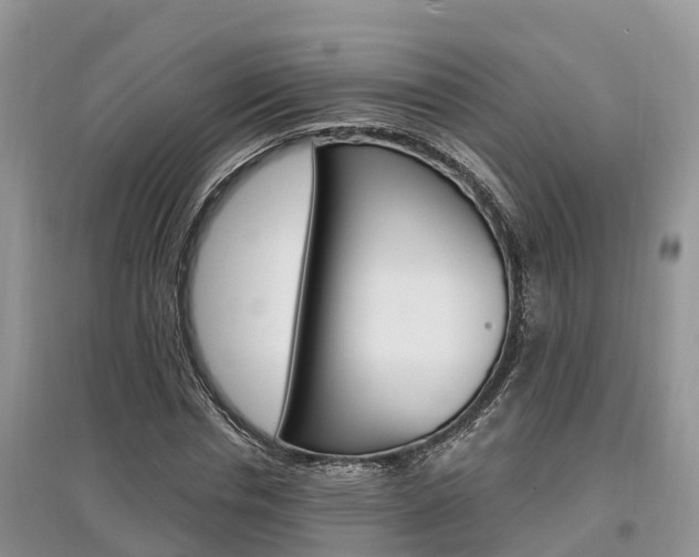 X0000097910826200803141027