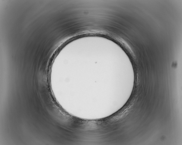 X0000097910828200803141027