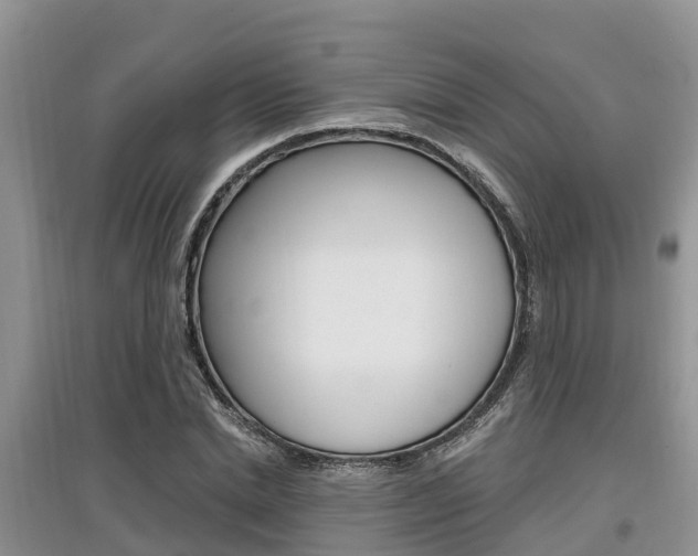 X0000097910830200803141027