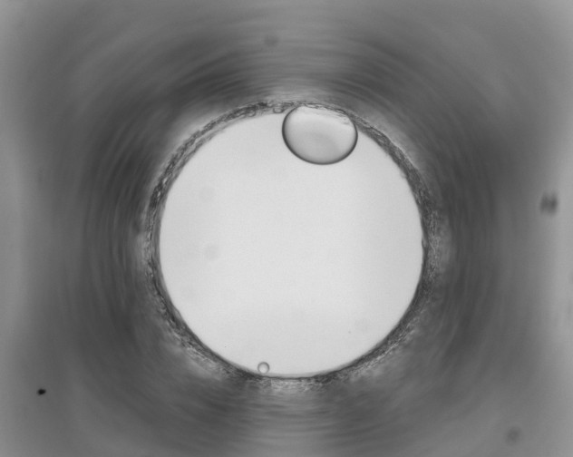 X0000097910832200803141027