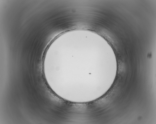 X0000097910836200803141027