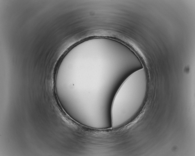 X0000097910837200803141027