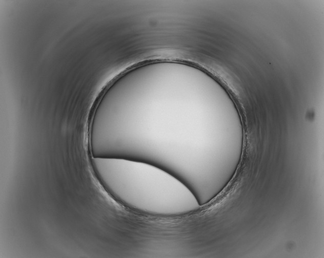 X0000097910839200803141027