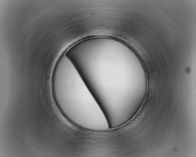 X0000097910840200803141027
