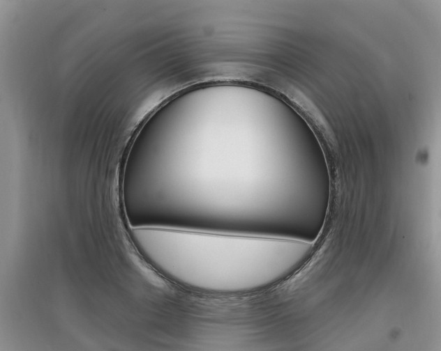 X0000097910842200803141027