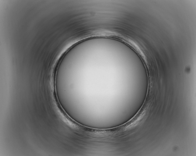 X0000097910843200803141027