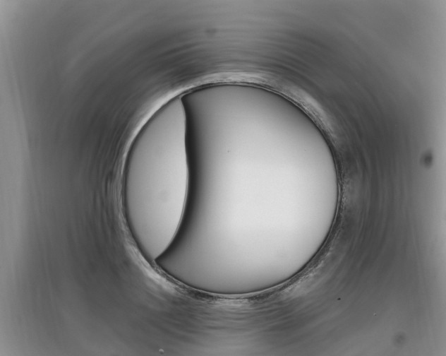 X0000097910844200803141027