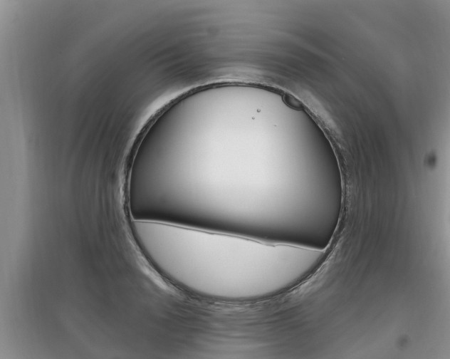 X0000097910846200803141027