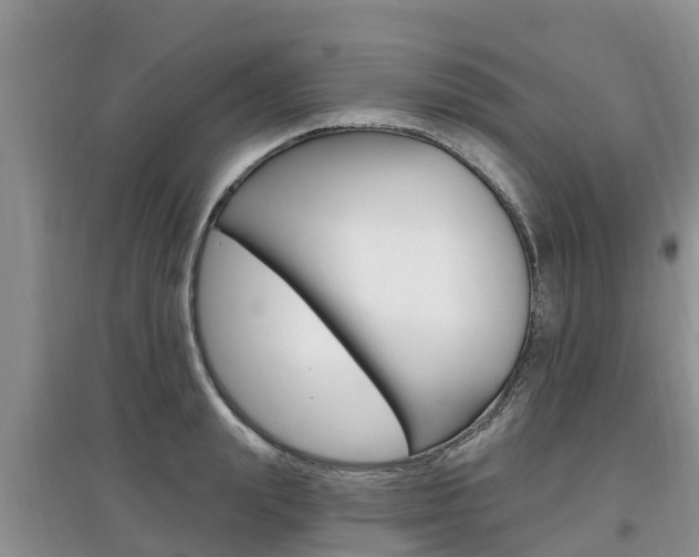 X0000097910847200803141027
