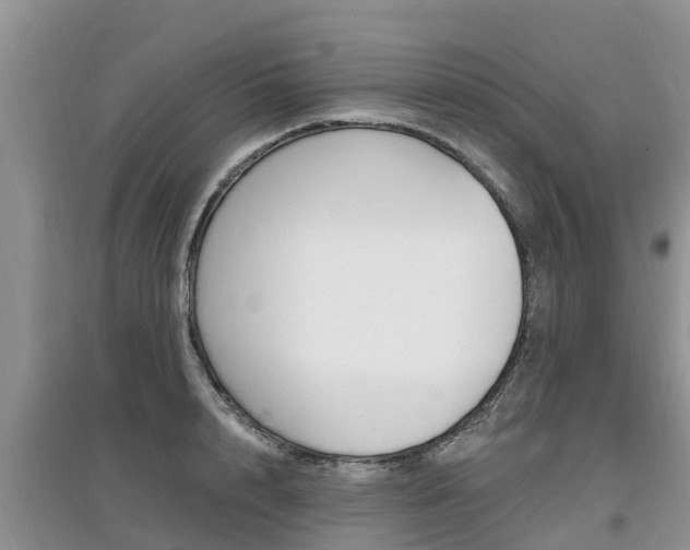 X0000097910848200803141027