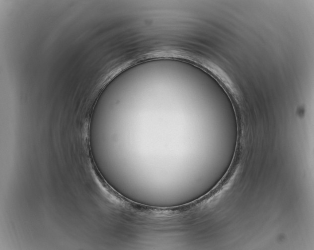 X0000097910849200803141028