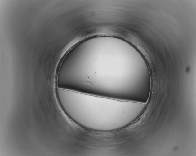 X0000097910853200803141028