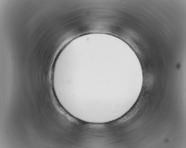 X0000097910856200803141028