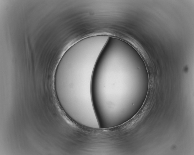 X0000097910858200803141028