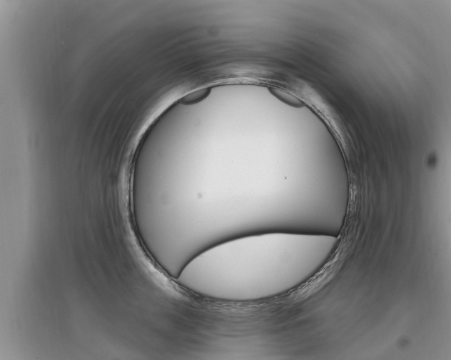 X0000097910859200803141028