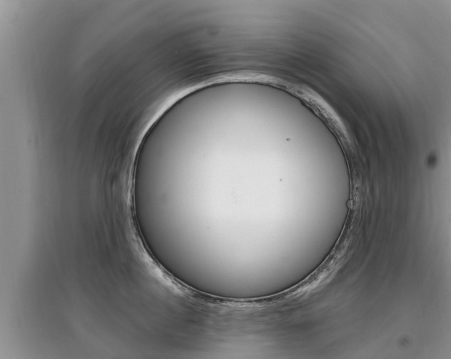 X0000097910860200803141028