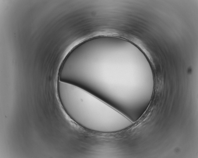 X0000097910861200803141028