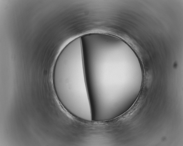 X0000097910862200803141028