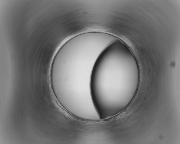 X0000097910864200803141028