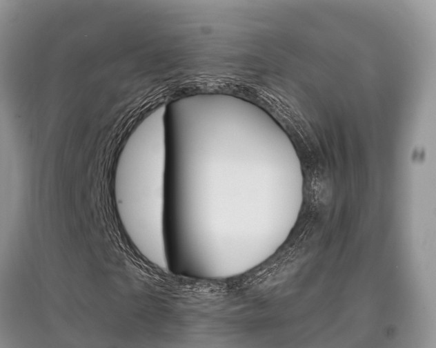 X0000097910865200803141027