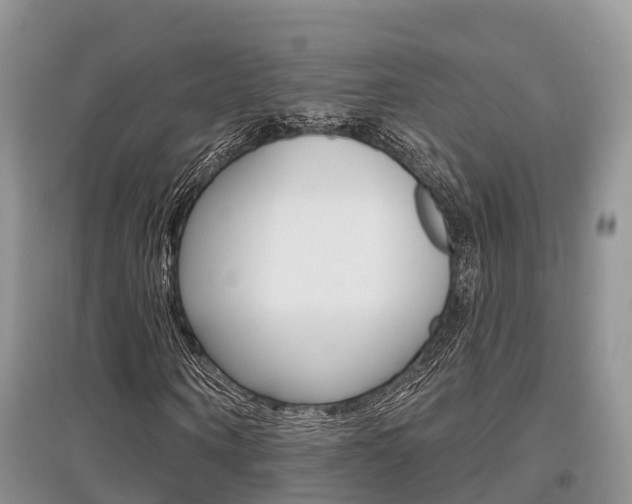 X0000097910866200803141027