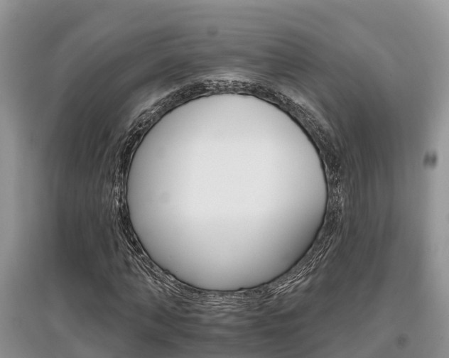 X0000097910870200803141027