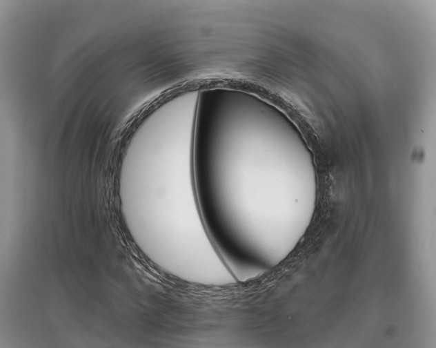 X0000097910872200803141027