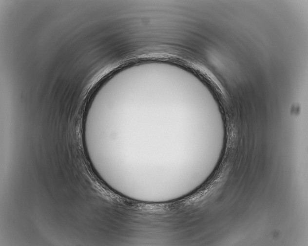 X0000097910874200803141027