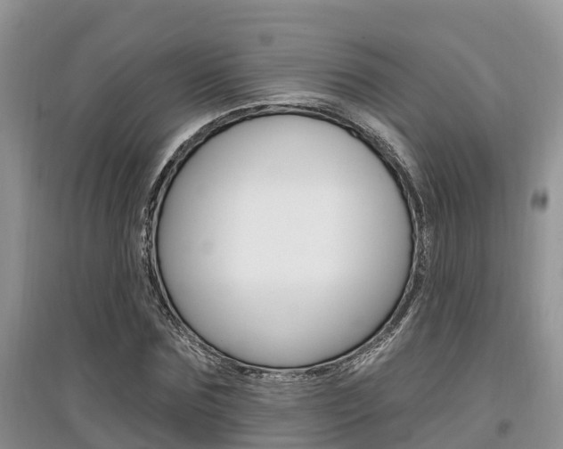 X0000097910875200803141027