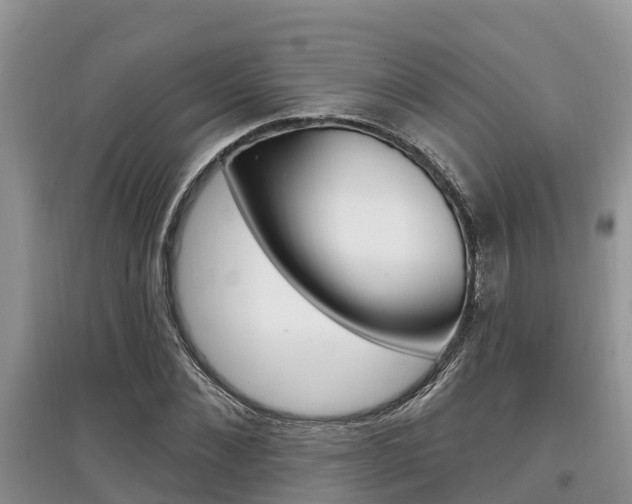 X0000097910876200803141027