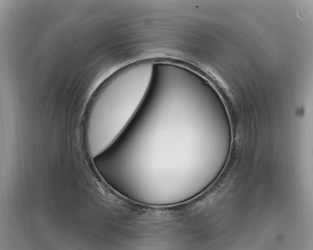 X0000097910877200803141027