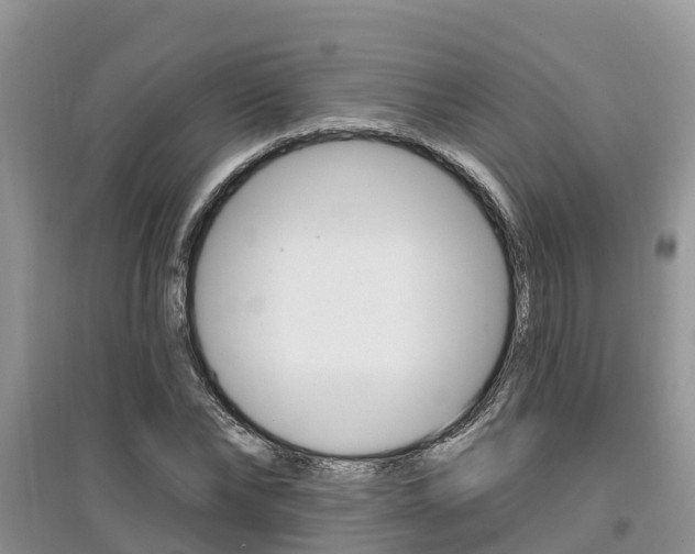 X0000097910878200803141027