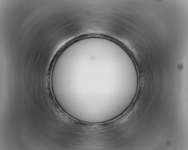 X0000097910879200803141027