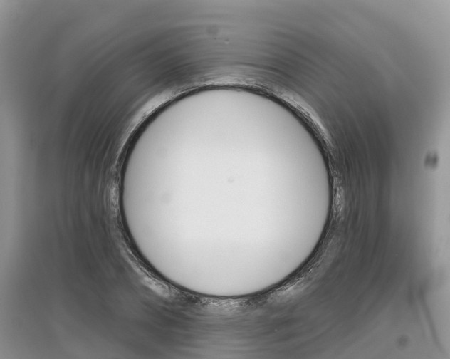 X0000097910882200803141027