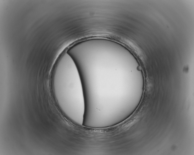 X0000097910883200803141027