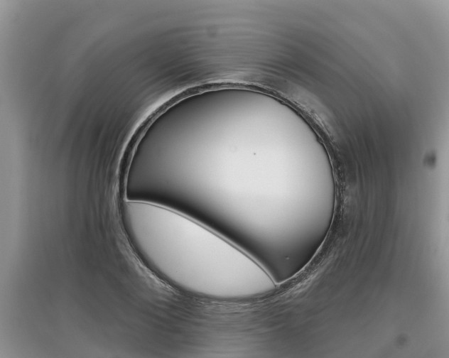 X0000097910884200803141027