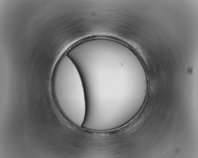 X0000097910887200803141027