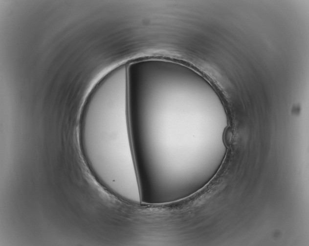 X0000097910888200803141027
