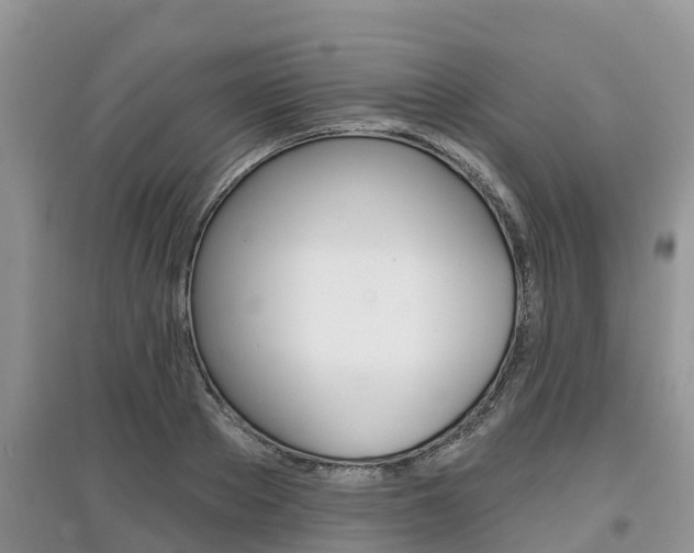 X0000097910889200803141027