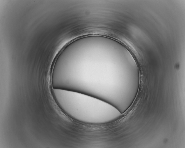 X0000097910891200803141027