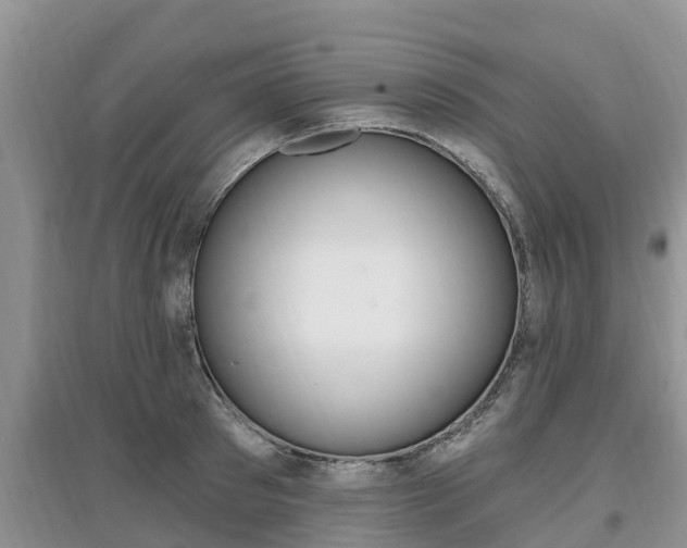 X0000097910897200803141027
