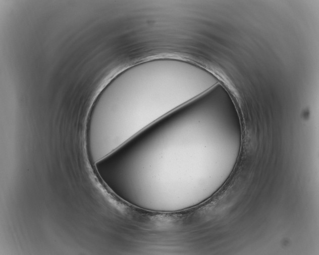 X0000097910898200803141027
