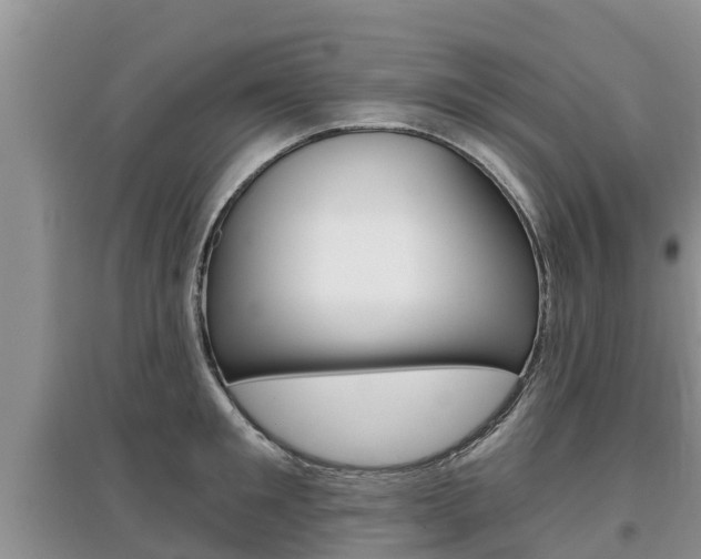 X0000097910901200803141027