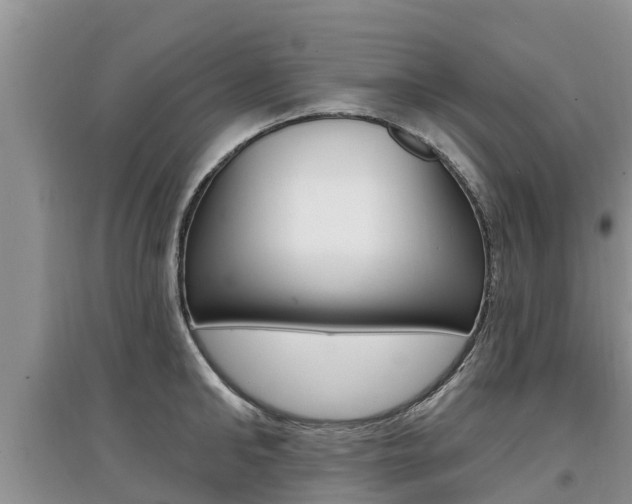 X0000097910902200803141027