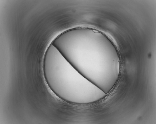 X0000097910903200803141027