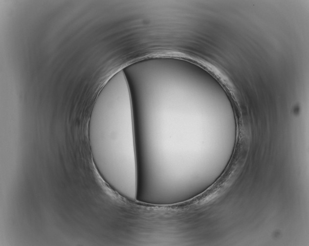X0000097910905200803141027