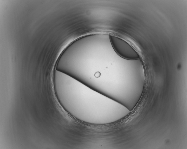 X0000097910907200803141026